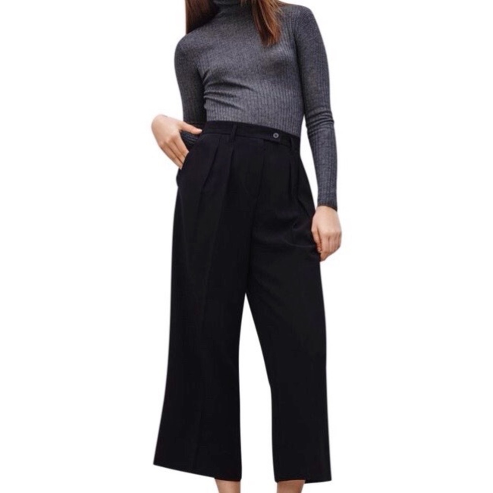Aritzia Babaton Eckhardt Culottes Pants (Size 2)